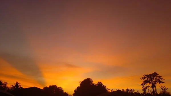 Sonnenuntergang Orange Himmel Strauch Baum Silhouette Schwarzer Hintergrund Natur — Stockfoto
