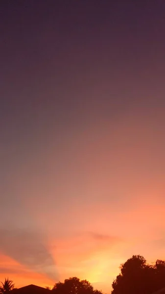 Zachód Słońca Pomarańczowe Niebo Krzew Drzewo Sylwetka Czarny Tło Natura — Zdjęcie stockowe