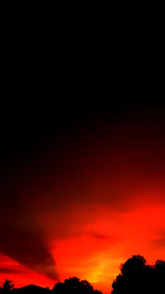 日没オレンジスカイブッシュツリーシルエット黒の背景自然 — ストック写真