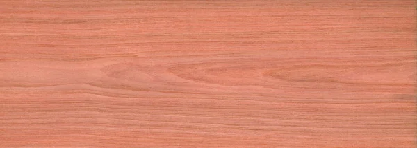 Rovere Dębowy Widok Góry Drewniany Ściana Materiał Burr Powierzchnia Tekstura — Zdjęcie stockowe