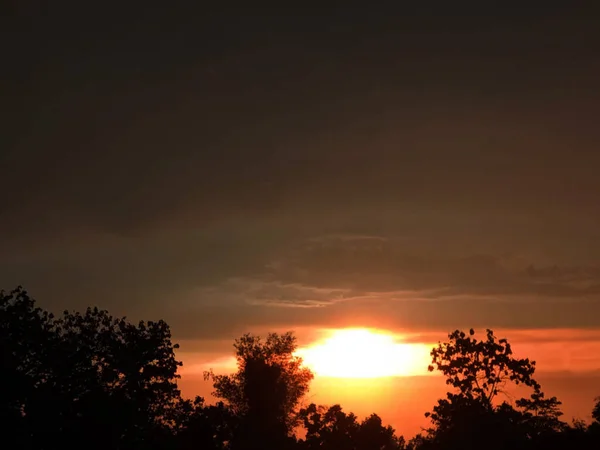 Night Sunset Shines Bright Abstract Silhouette Black Bush Tree Orange — Foto de Stock