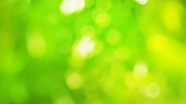 Абстрактный Светло Зеленый Желтый Цвет Боке Красивый Белый Фон Дизайн — стоковое фото