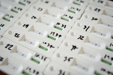 Rapid Antigen Test Kiti ATK ile grup elemanları okula dönüş, ofis çalışması ve üniversite COVID-19 testleri sırasında masaüstü görüntüde negatif sonuç verdi. Coronavirus self-home tecrit konsepti