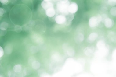 Soyut bulanık odak noktası Nane yeşili Bokeh yaprağı bahar ışığı çevre mavi yeşillik arka plan kavramı serin yaz dokusu, biyolojik bahar sakin günü, turkuaz duvar kağıdındaki organik sağlık bulanık park yaprağı.