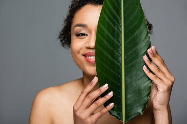 happy african american woman obscuring face with green leaf isolated on grey