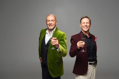 Smiling mature men in formal wear holding champagne isolated on grey  clipart