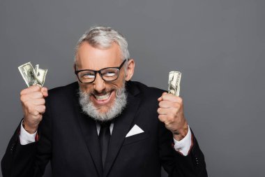 positive middle aged businessman holding dollar banknotes isolated on grey clipart