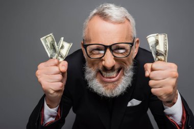 Gözlüklü mutlu orta yaşlı işadamı dolar banknotları tutuyor ve griler içinde sırıtıyor.
