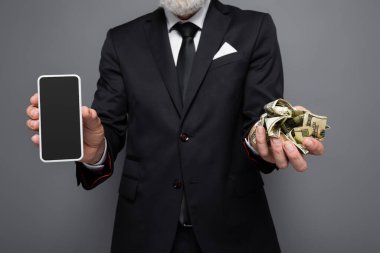 Orta yaşlı işadamının elinde dolar banknotları ve gri ekranda boş ekranlı akıllı telefon tutarken görüntüsü.