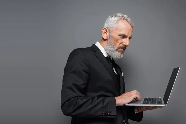 Middle Aged Businessman Suit Using Laptop Blank Screen Isolated Grey — Stock Photo, Image