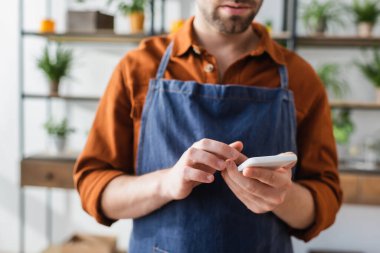 Daha yavaş bir dükkanda akıllı telefon kullanan önlüklü perakendecinin kırpılmış görüntüsü 