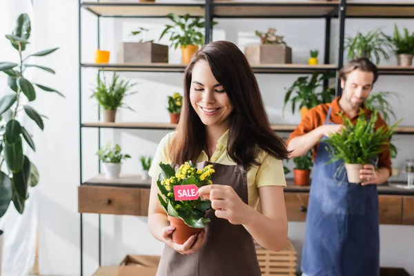 Positivo Varejista Segurando Preço Perto Planta Colega Loja Flores Borradas — Fotografia de Stock