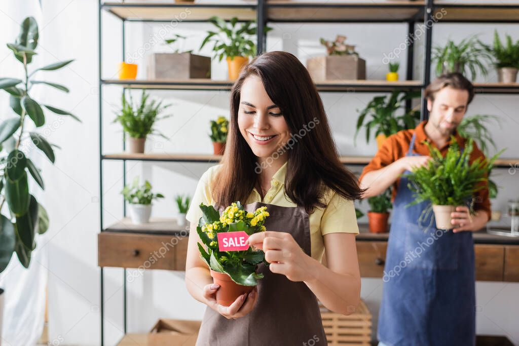 Positive retailer holding price tag near plant and colleague in blurred flower shop 