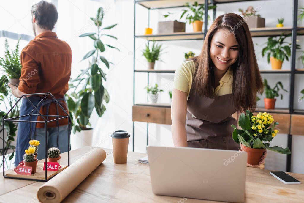 Positive seller holding blooming plant and using laptop near coffee and colleague in flower shop 