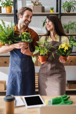 Positive florists holding plants and looking at each other in flower shop  clipart