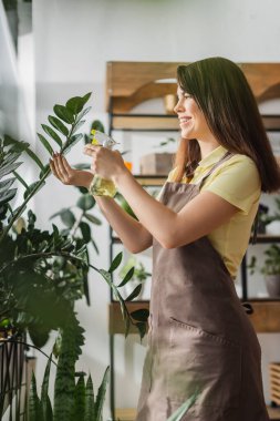 Çiçekçide çiçekçi önlüğüyle çiçekçiye gülümserken yan bakış. 