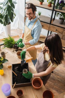Çiçekçilerin eldiven giyip dükkandaki saksıların yanına çiçek diktikleri tepeden görülüyor. 