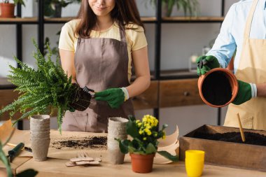 Çiçekçide çiçekçi kılıklı gülümseyen çiçekçinin elinde bitki ve iş arkadaşının yanında tırmıkla gezerken görüntüsü. 