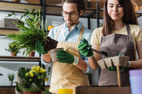 Young Florists Aprons Planting Flowers Flower Shop — Stock Photo, Image