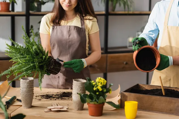 Cropped View Smiling Florist Apron Holding Plant Rake Colleague Ground — Stock Photo, Image