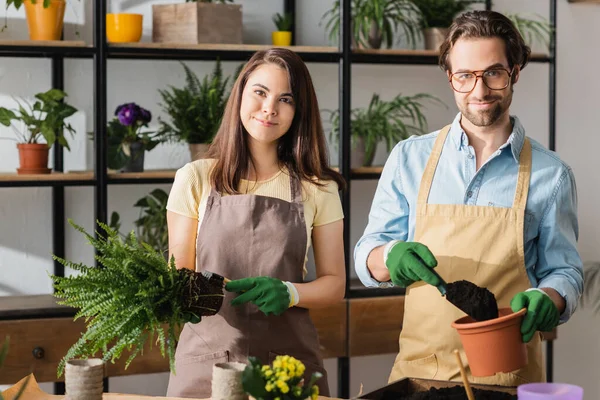 Jóvenes Floristas Delantales Sosteniendo Suelo Planta Mientras Miran Cámara Tienda —  Fotos de Stock