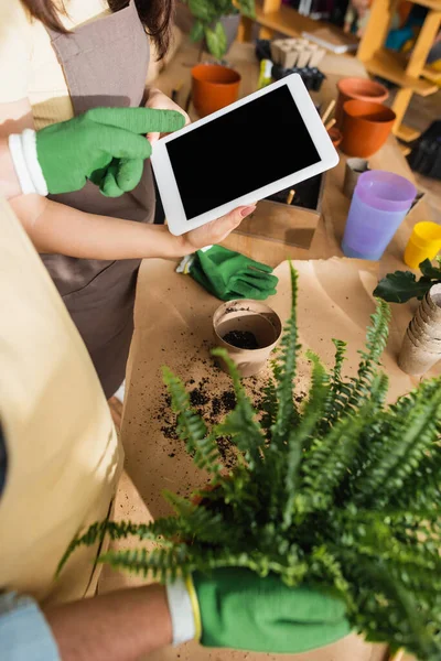 Cropped View Florist Glove Pointing Digital Tablet Plant Colleague Flower — Stock Photo, Image