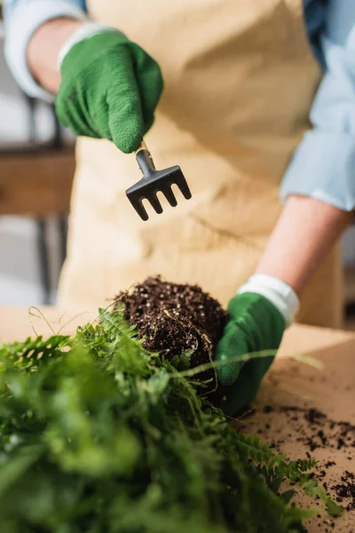 Vista Cortada Florista Segurando Ancinho Perto Planta Com Chão Loja — Fotografia de Stock