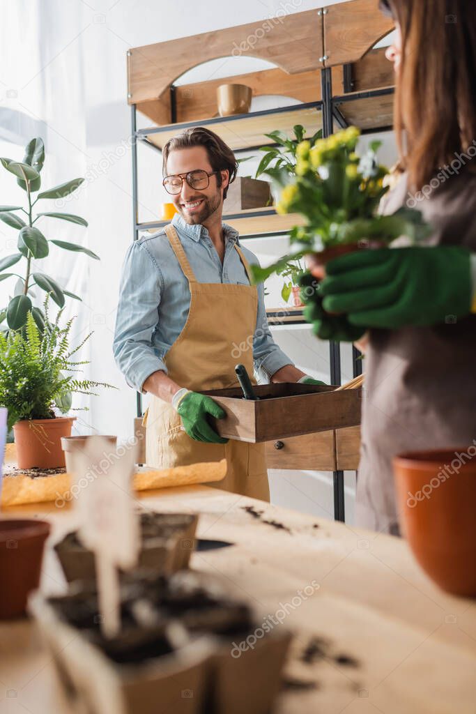 Smiling florist in gloves holding box with ground near blurred colleague and plants in shop 