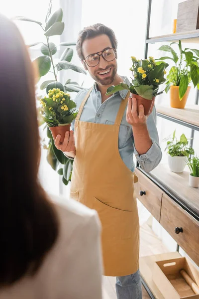 Fröhlicher Blumenhändler Hält Blühende Pflanzen Der Nähe Verschwommener Kundin Blumenladen — Stockfoto