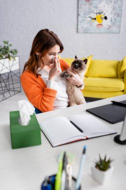 woman suffering from allergy while sitting with cat near graphic tablet and notebook on desk clipart