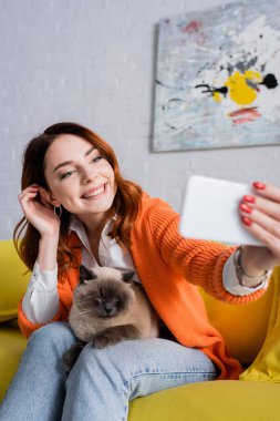 Mutlu kadın kanepede oturup kediyle selfie çekerken saç düzeltiyor.