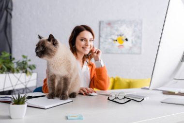 Kedi, evde kulaklıkla çalışan bulanık kadının yanında oturuyor.