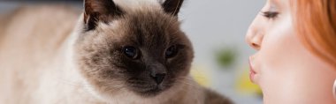 Yumuşak kedi ve pankartın yanında somurtan kadın manzarası