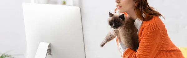 Teilansicht Einer Frau Die Katze Der Nähe Des Computermonitors Hält — Stockfoto