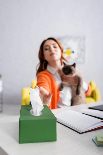 職場の机で猫と座っている間に紙ナプキンを取るぼやけたアレルギーの女性 — ストック写真