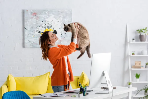 Çizgi Film Tableti Bilgisayar Monitörüyle Masanın Yanında Dururken Kediyi Tutan — Stok fotoğraf