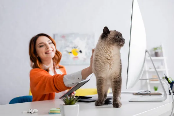 Mulher Alegre Acariciando Gato Enquanto Sentado Mesa Trabalho Fundo Borrado — Fotografia de Stock