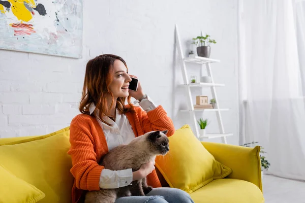 快乐的女人一边和猫坐在沙发上一边用智能手机聊天 — 图库照片