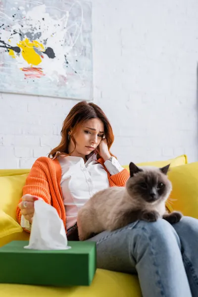 Upset Allergic Woman Taking Paper Napkin Pack Blurred Cat — Stock Photo, Image