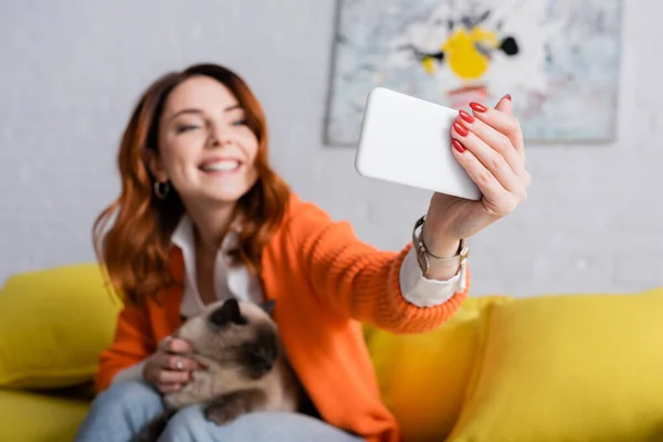 Suddig Kvinna Sitter Med Katt Soffan Och Tar Selfie Smartphone — Stockfoto