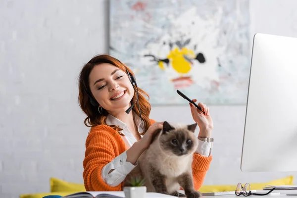 Alegre Mujer Auriculares Acariciando Gato Mientras Trabajo Cerca Borrosa Ordenador —  Fotos de Stock