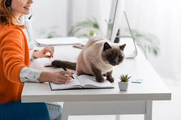在工作台旁的笔记本上 看到一个模糊的女人坐在猫旁边写字 — 图库照片