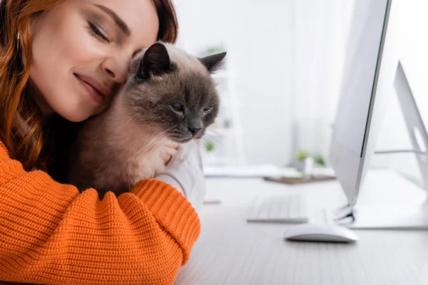 机の上のぼやけたコンピューターモニターの近くで猫を抱きしめるフリーランスの姿を間近に見る — ストック写真