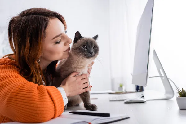 Complacido Freelancer Abrazando Gato Sentado Escritorio Cerca Monitor Computadora —  Fotos de Stock