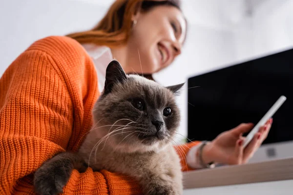 Nízký Úhel Pohledu Rozmazané Ženy Kočkou Pomocí Smartphone Při Práci — Stock fotografie