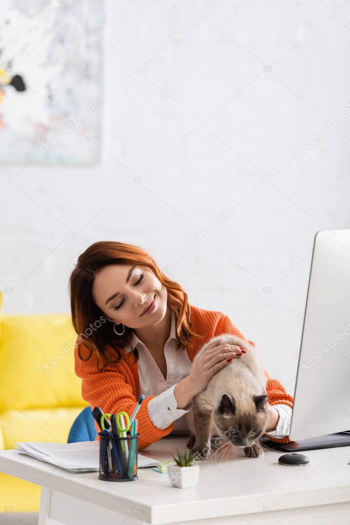 smiling freelancer stroking cat on work desk near computer monitor