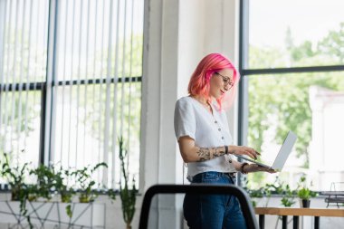 Ofiste dizüstü bilgisayar kullanan pembe saçlı mutlu genç iş kadını.