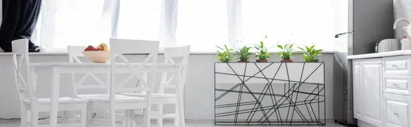 Mesa Comedor Con Frutas Cerca Sillas Blancas Cocina Moderna Pancarta — Foto de Stock