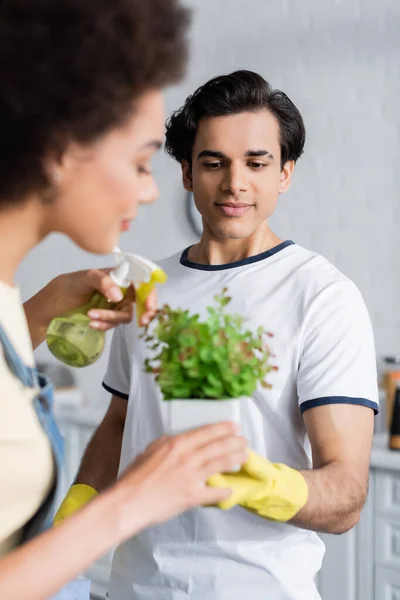 Jonge Man Met Groene Plant Buurt Wazig Krullend Afrikaans Amerikaanse — Stockfoto