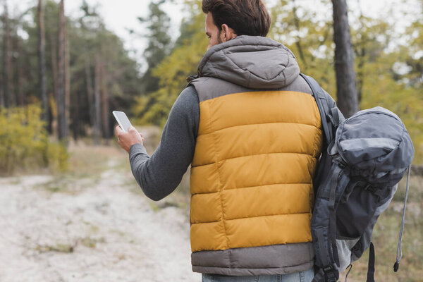 back view of traveler in autumn clothes using smartphone while hiking in forest
